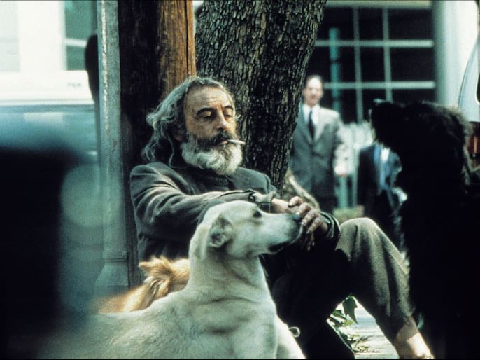 Amores perros - Alejandro González Iñárritu · 2000