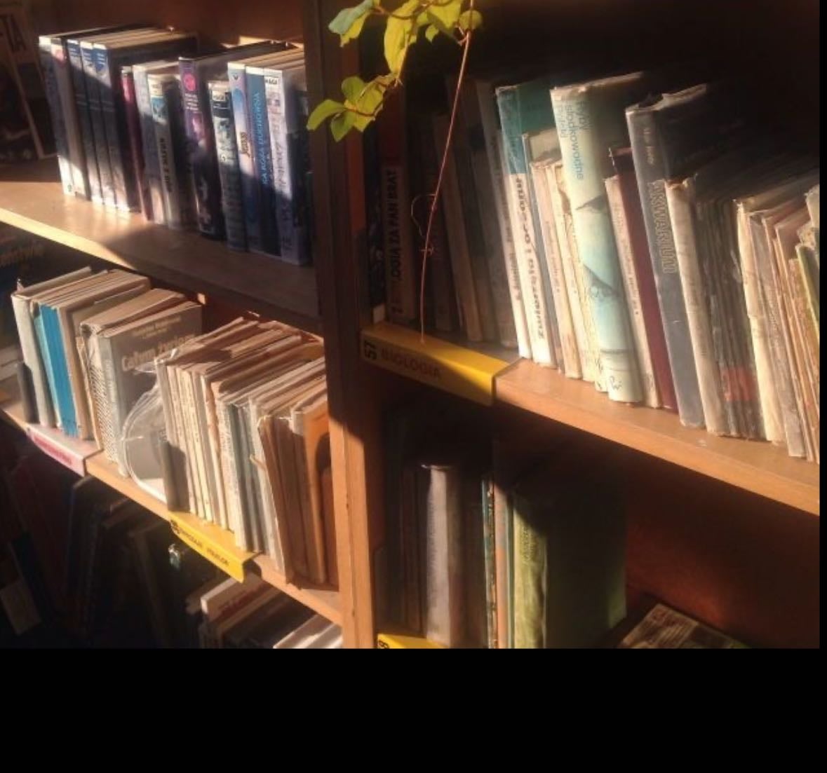 My Favourite Books - Books hypelist by Kiki