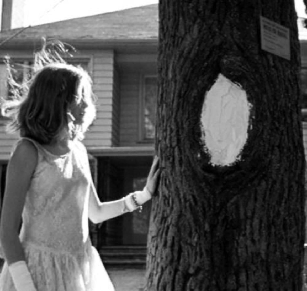 The Virgin Suicides - Sofia Coppola · 2000