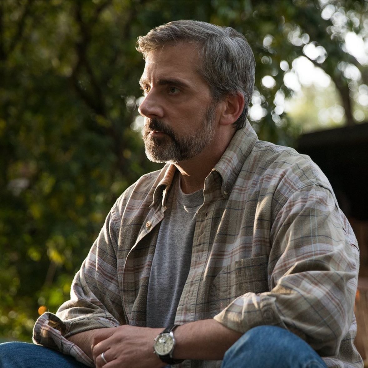 steve carell - beautiful boy