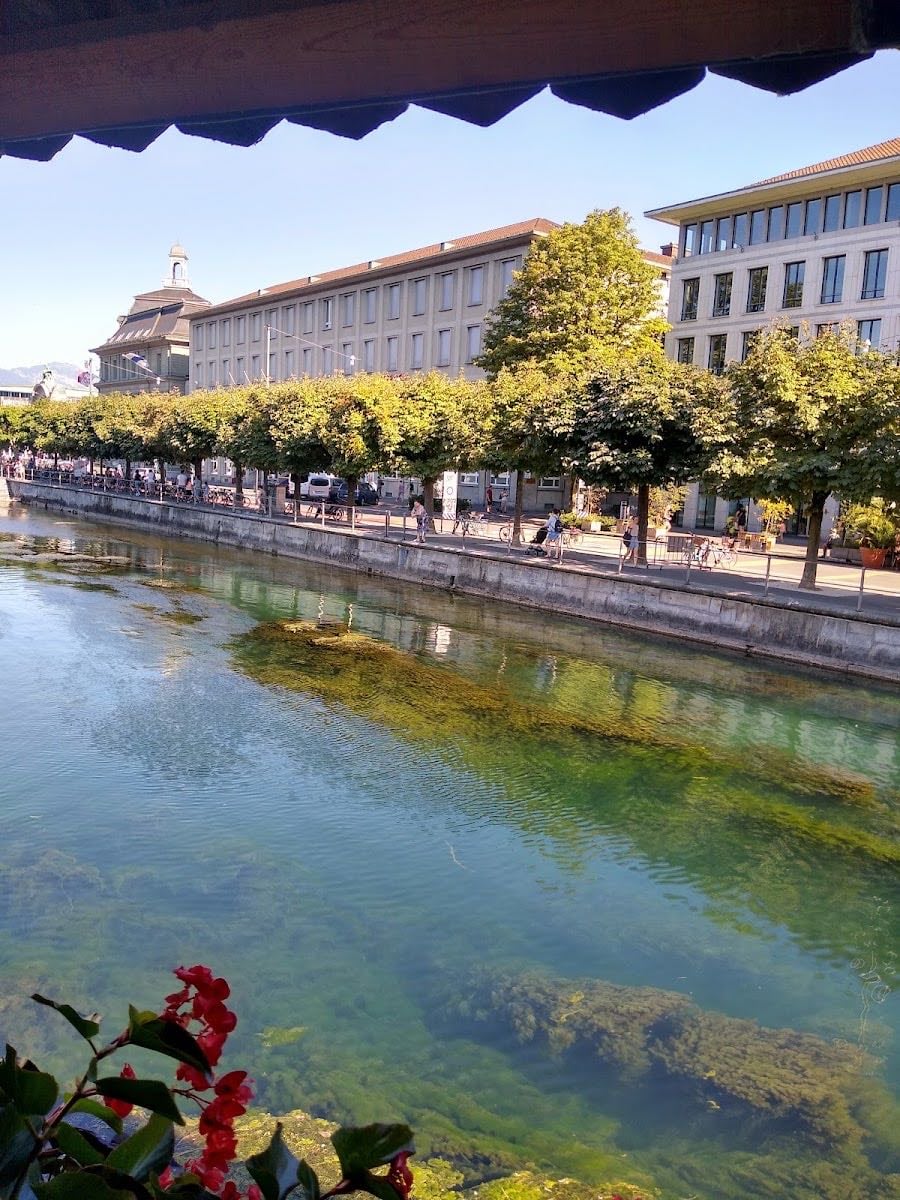 Lucerna