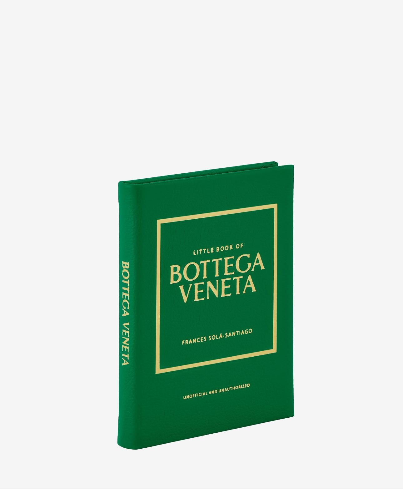 Bottega venetta book