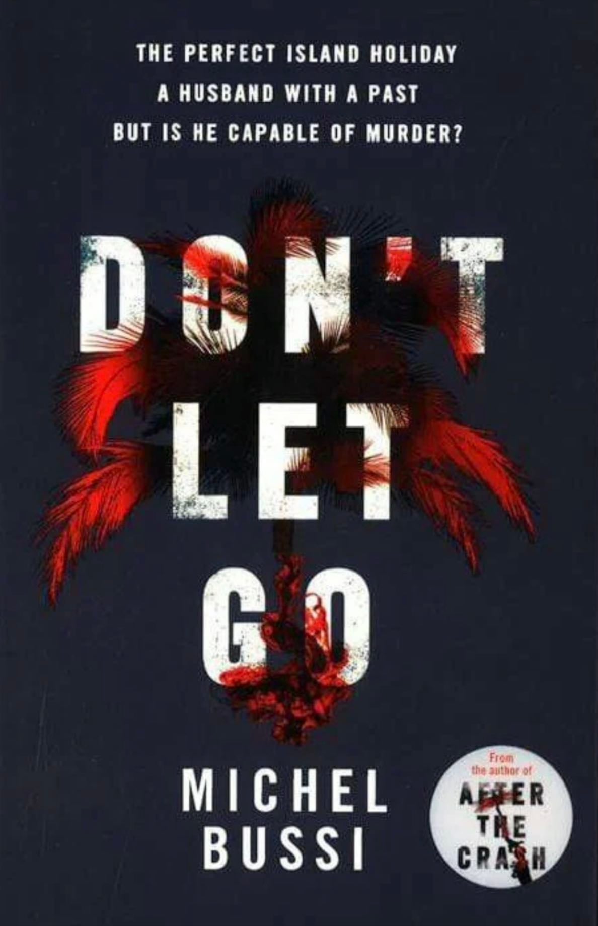 Don’t Let Go - Michel Bussi · 2013