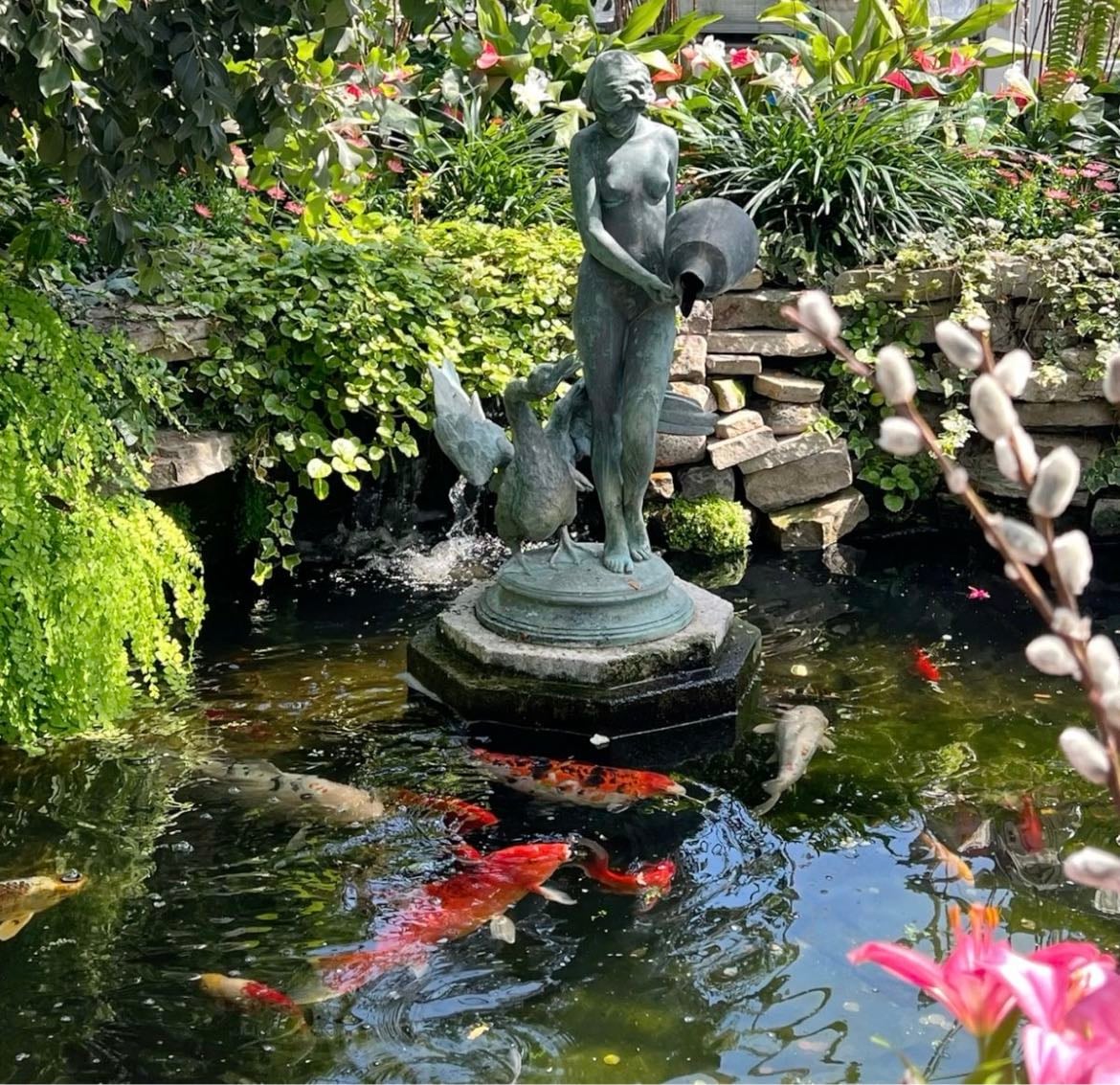 koi pond - for nostalgia