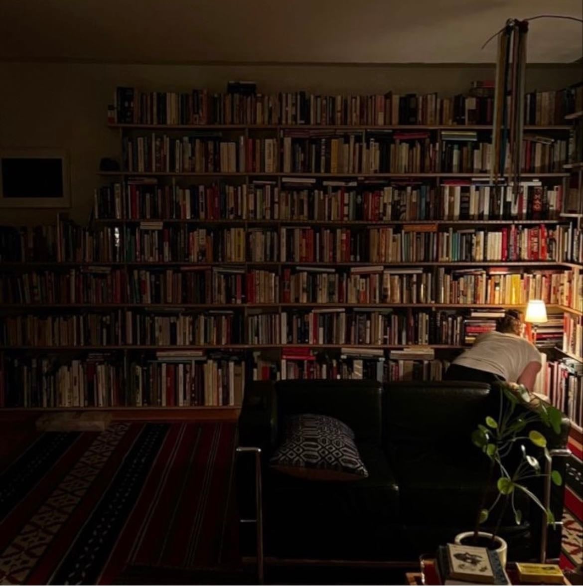 library - thousands of books