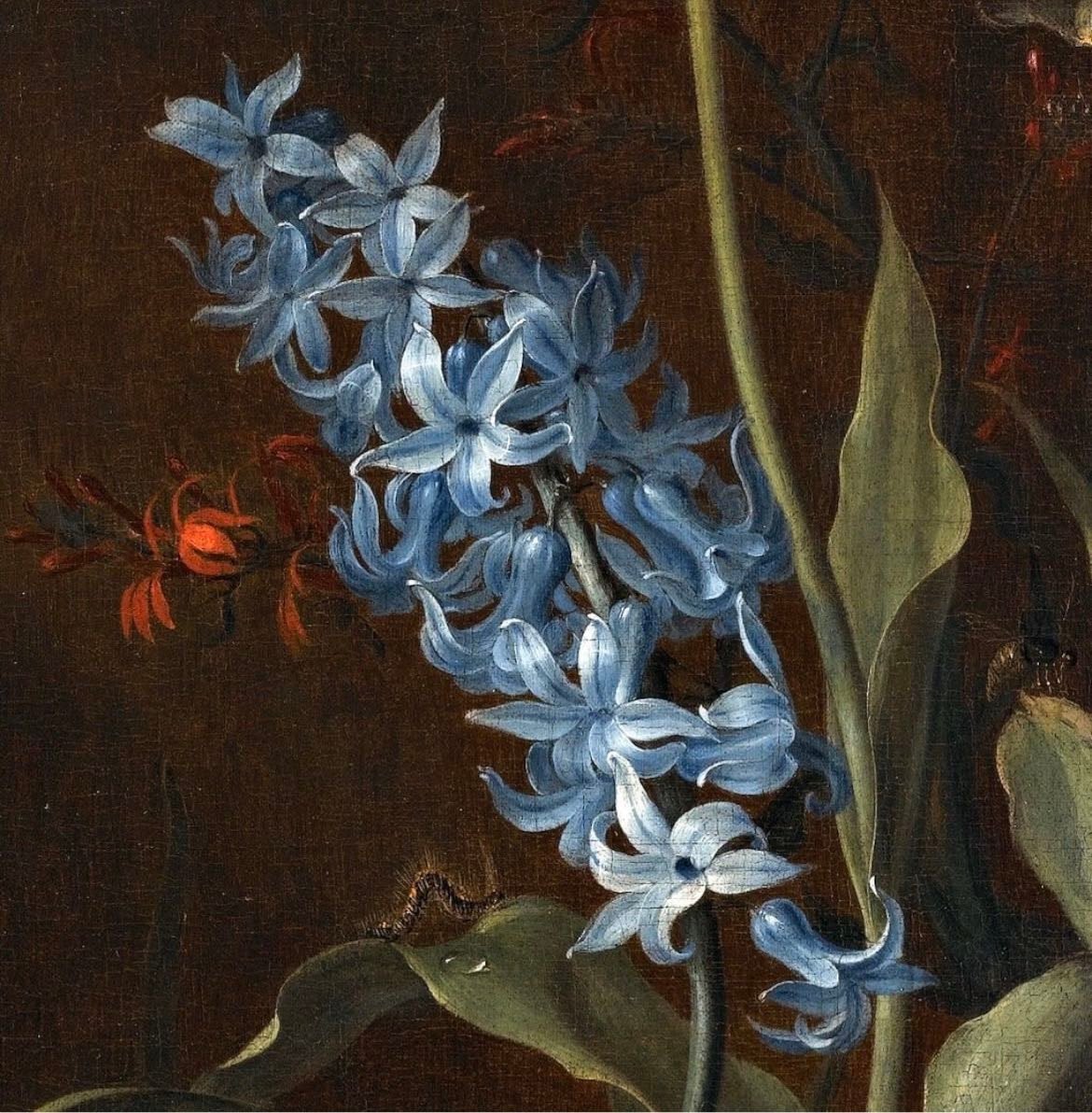 apollo & hyacinth - greek mythology