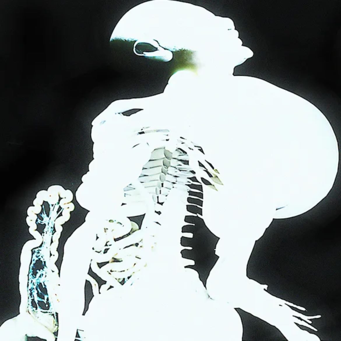 Entrañas - Arca