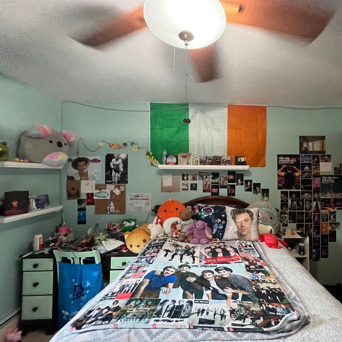Aspen - This is what my wall looks like and I absolutely LOVE it! My wall of to the side has photos from when I saw Niall, my shelf has all 5 1D albums, Fine Line, Harry’s House and The Show in it. I also have photos from when I saw Louis hanging up. I have Zayn and Louis albums on my shelf to the left side of the photo. It took me a while to do this but it makes me really happy to see all of the photos and posters!! :)