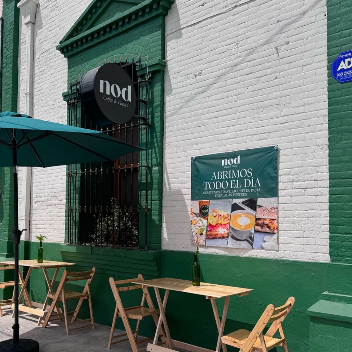 Nod Coffee & Plants