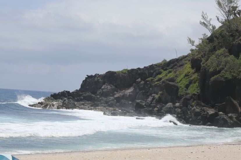 sukkwan island- david vann