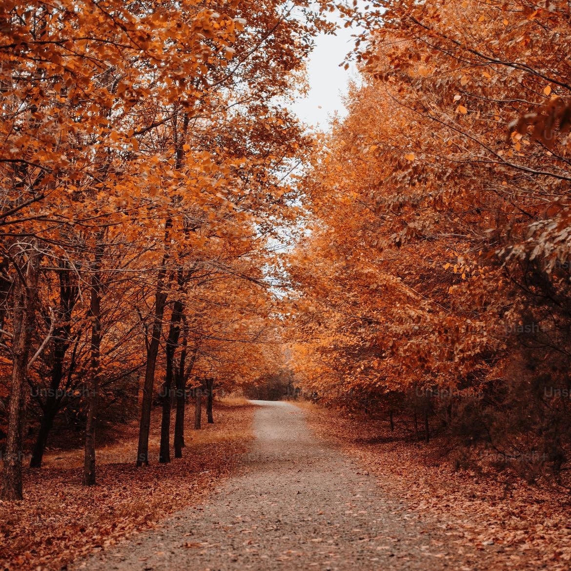 Otoño