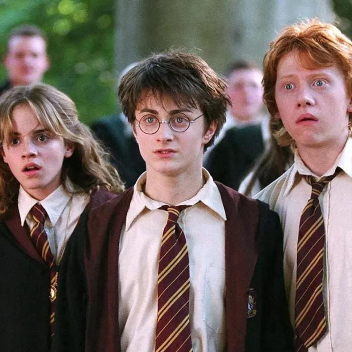 Harry Potter - Toda la saga