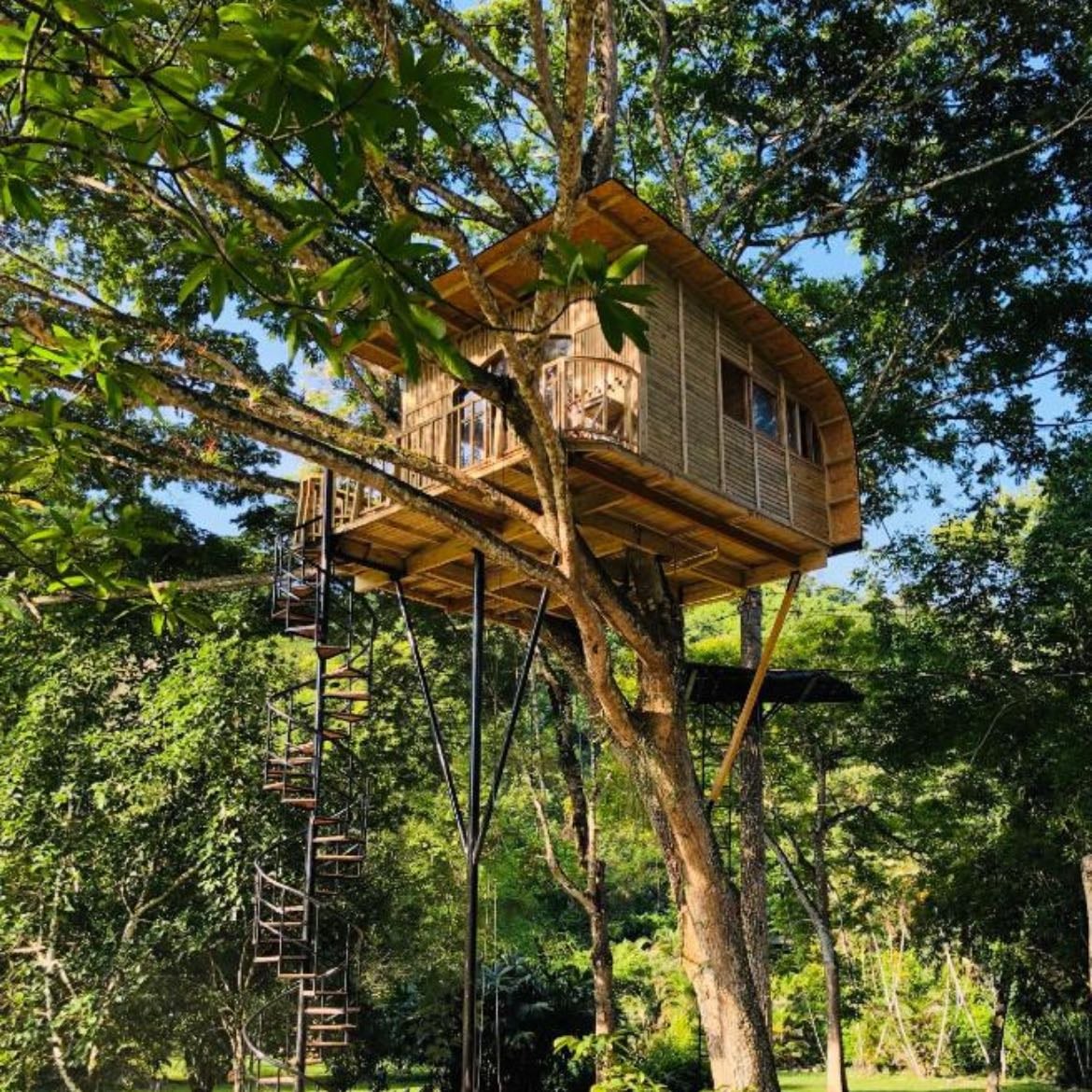 Árbol - Con un columpio o una casita