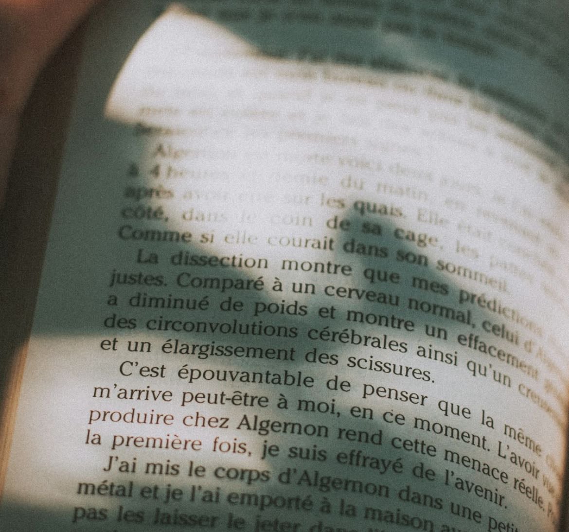 Lecture 馃摉 - Books hypelist by Lou