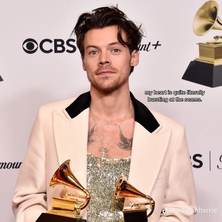 Harry Styles - Artist