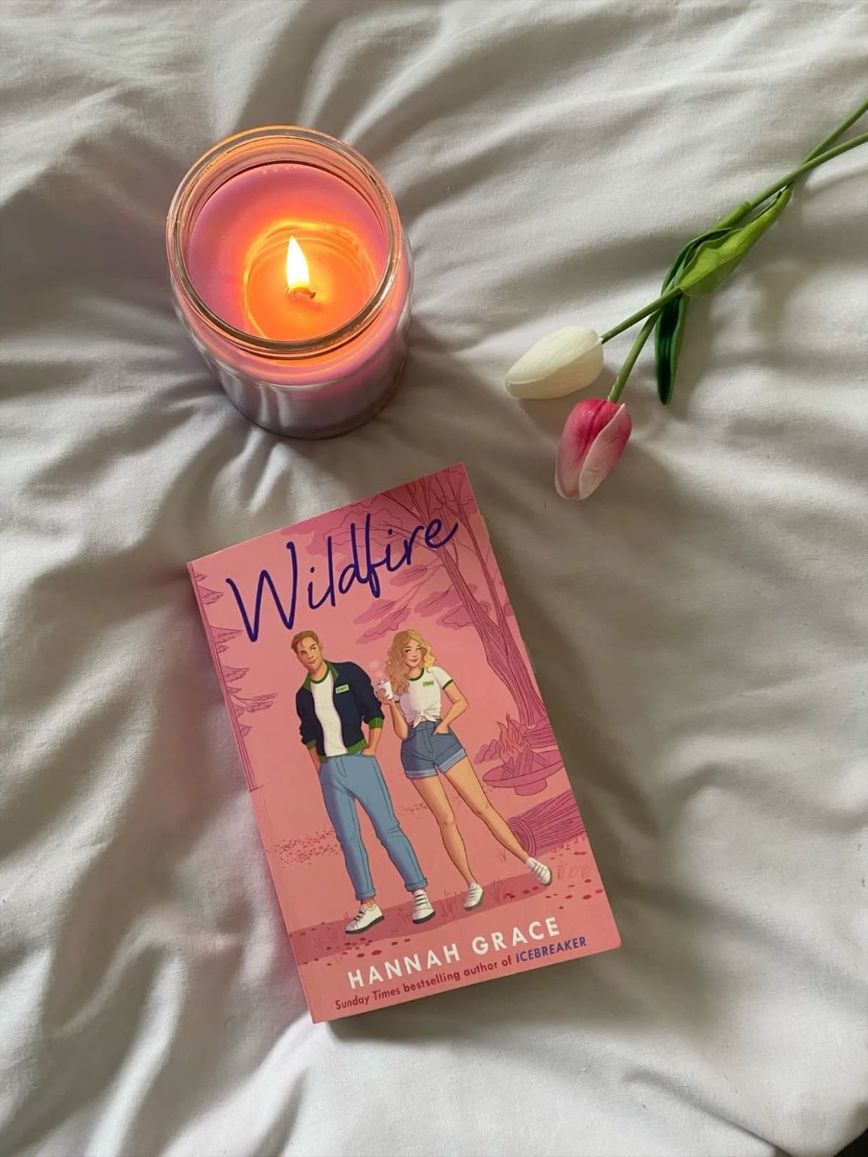 Wildfire: A Novel (The Maple Hills Series) - Hannah Grace · 2023