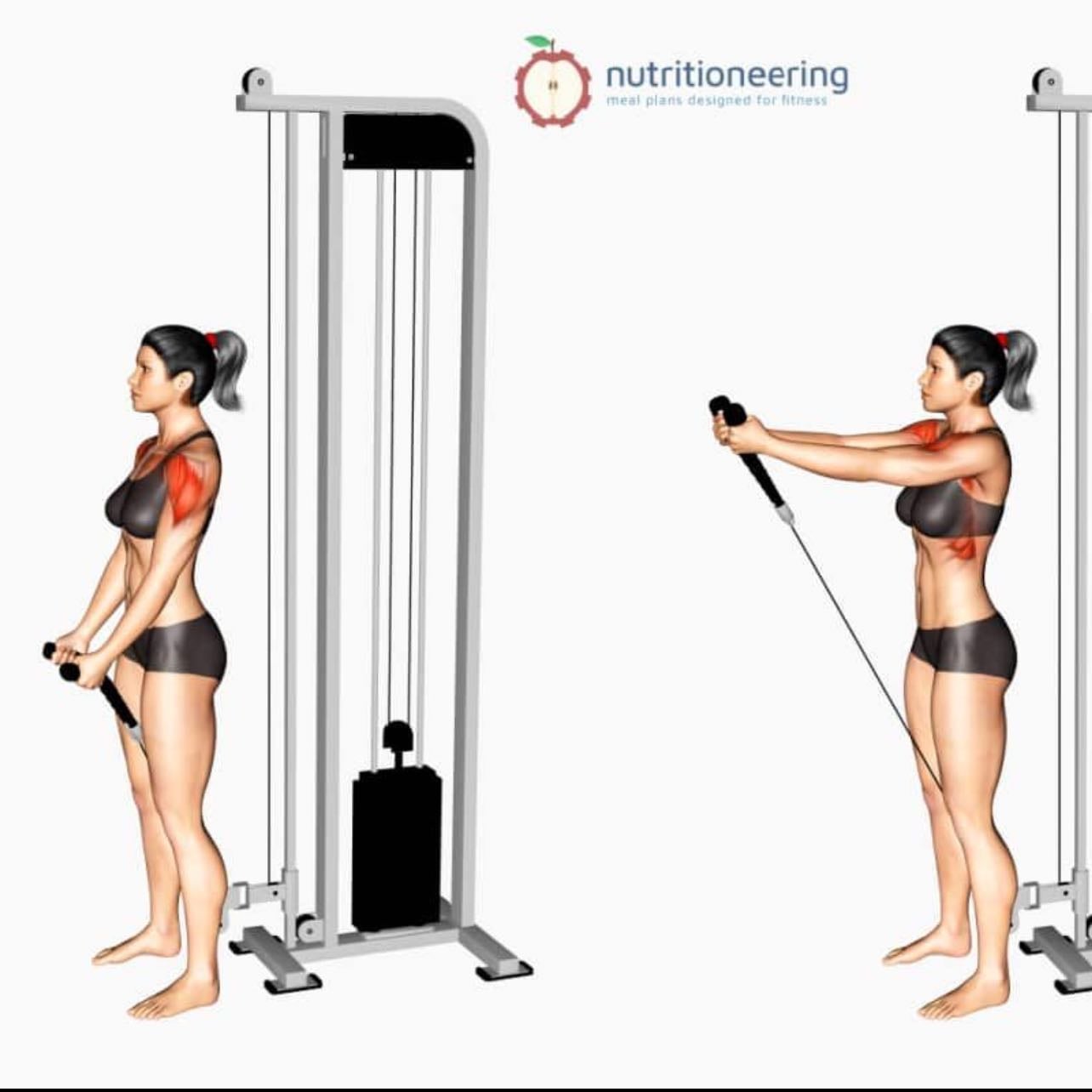 standing front raise - 3x10
