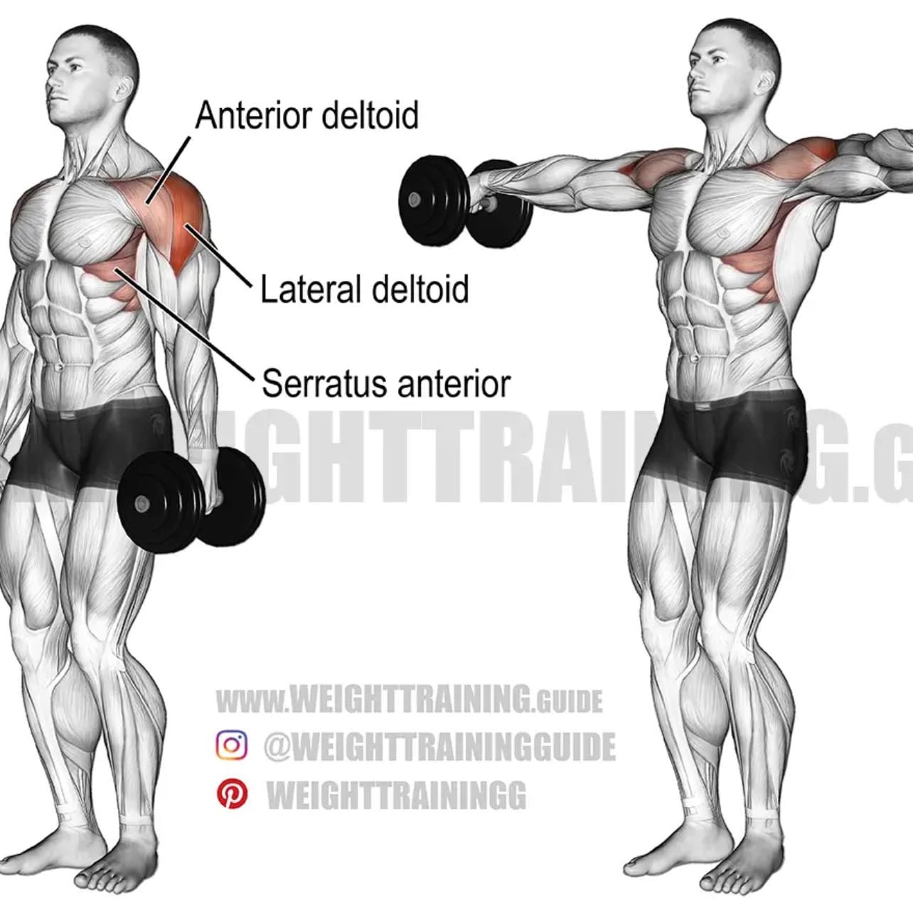 lateral raises - 3x10