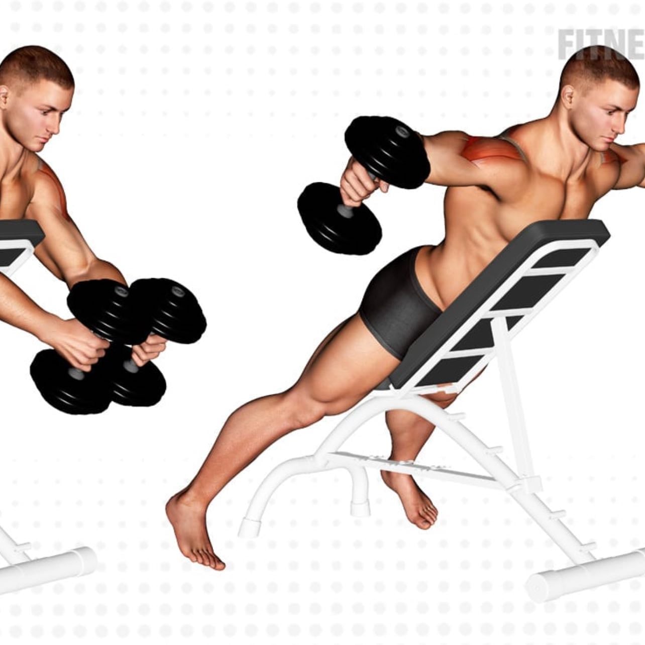 reverse flys - 3x10