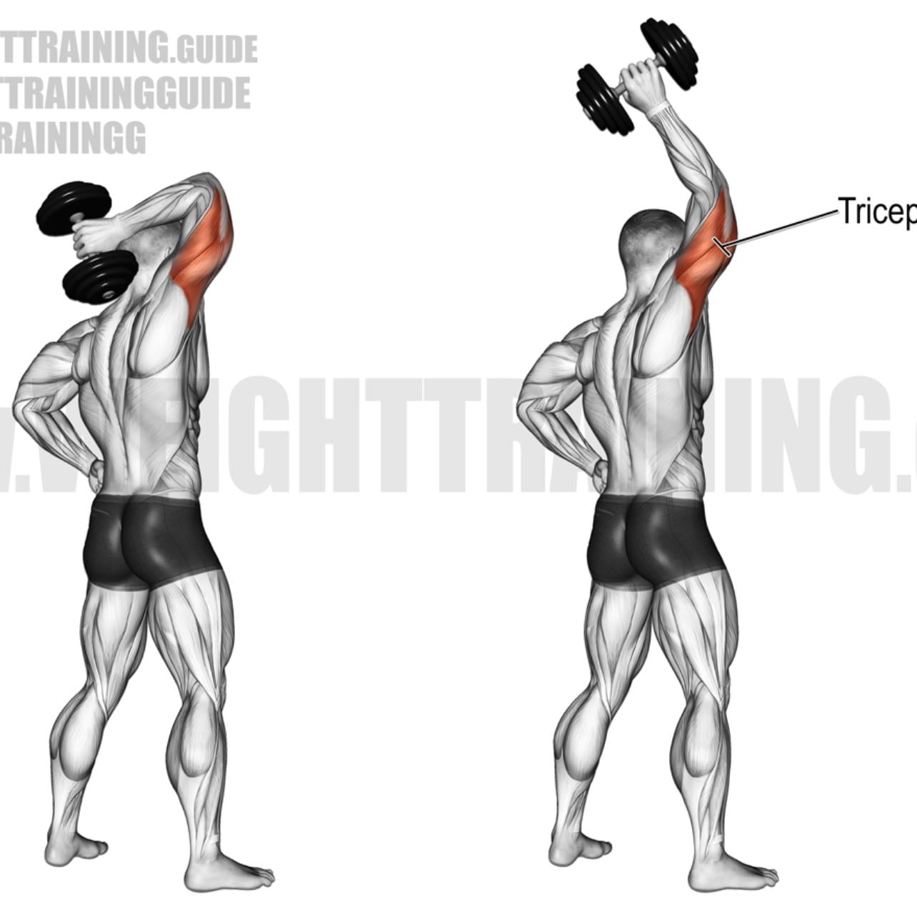 single arm tricep extension - 3x10