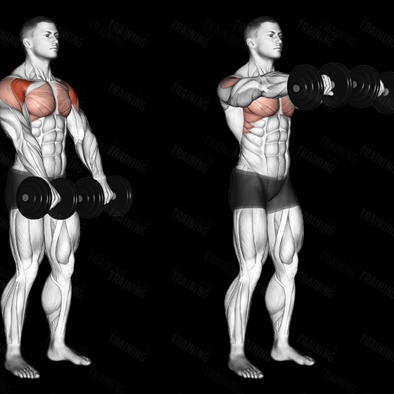 forward lateral raises - 3x10