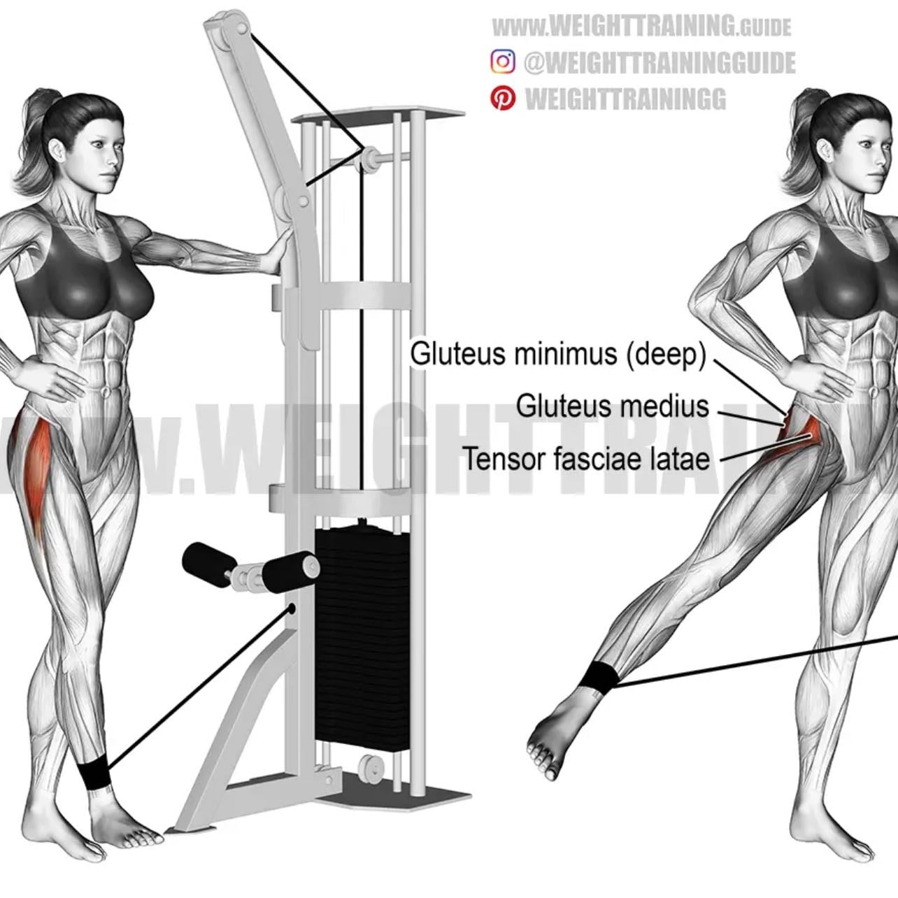 single lateral leg cable extension - 3x12