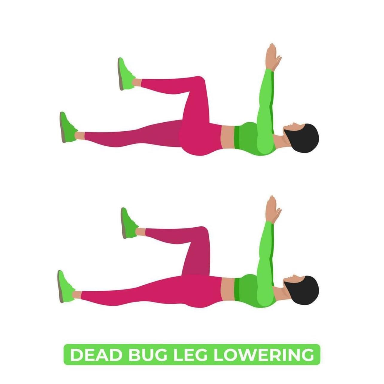 dead bugs - 3x30sec