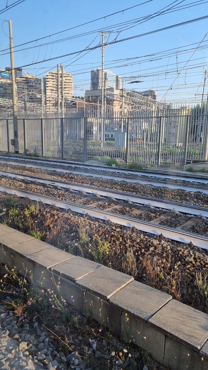 Gianturco - where Lila and Lenu were born - where a dark tunnel that goes under the railroad tracks provides an outlet from Rione Luzzatti.