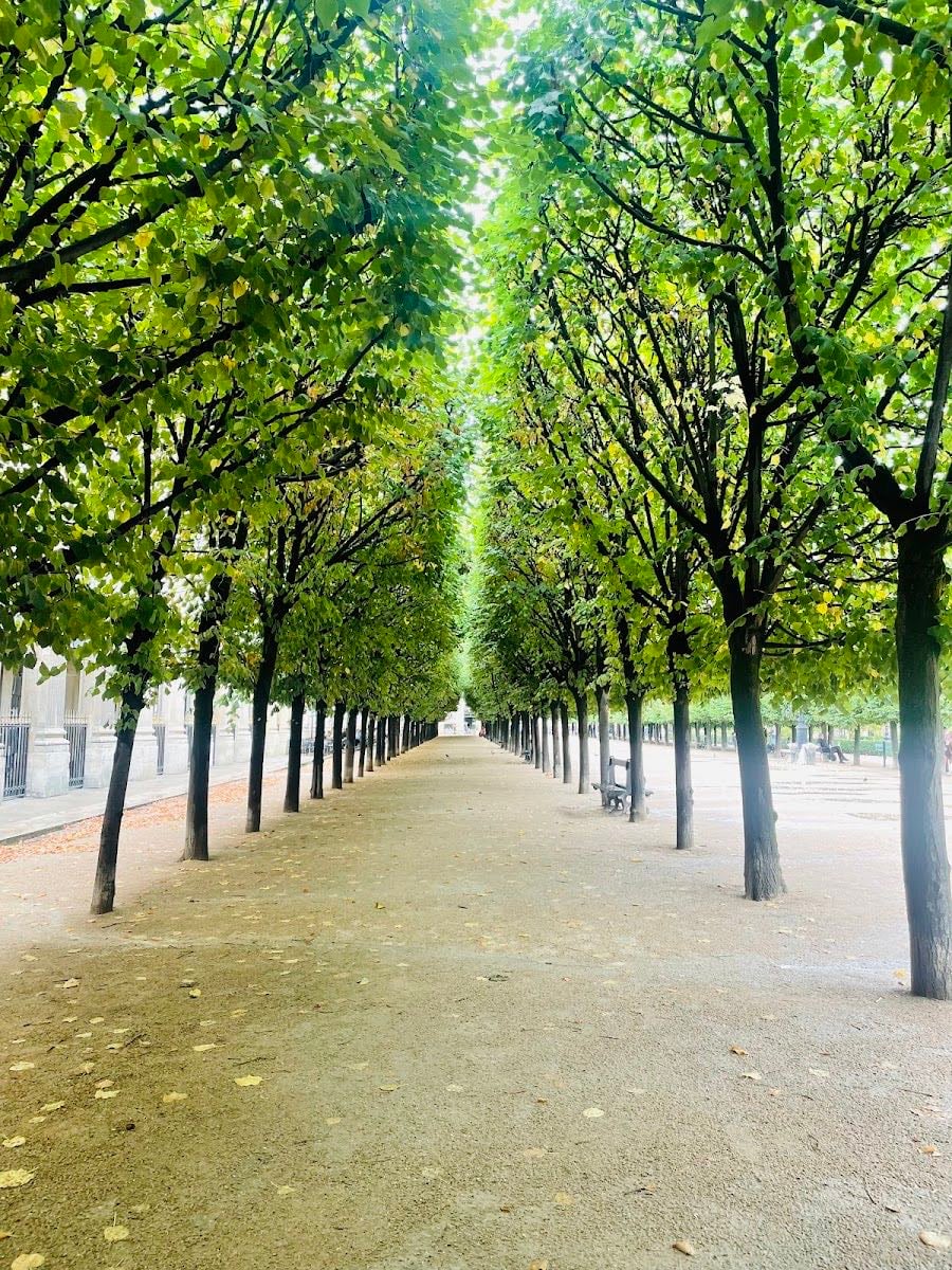 Jardin du Palais Royal