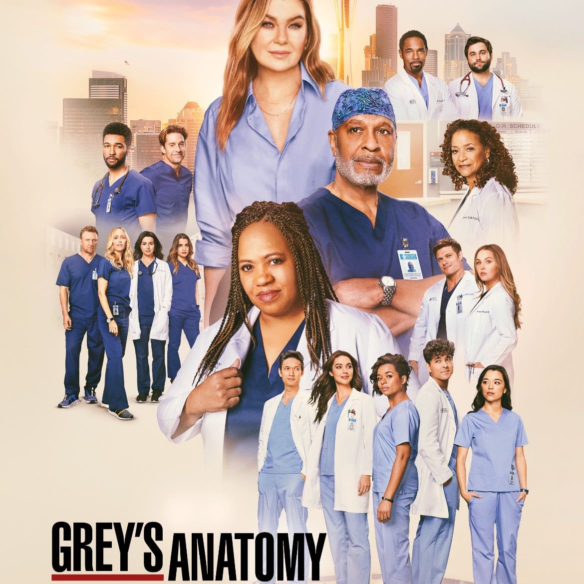 Grey’s anatomy