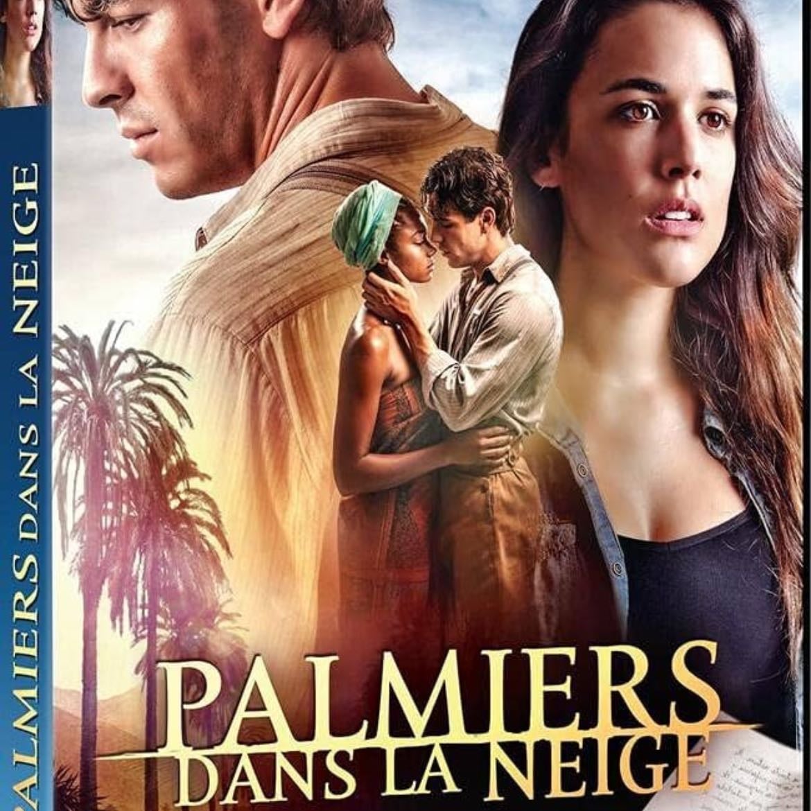 Palmiers sous la neige