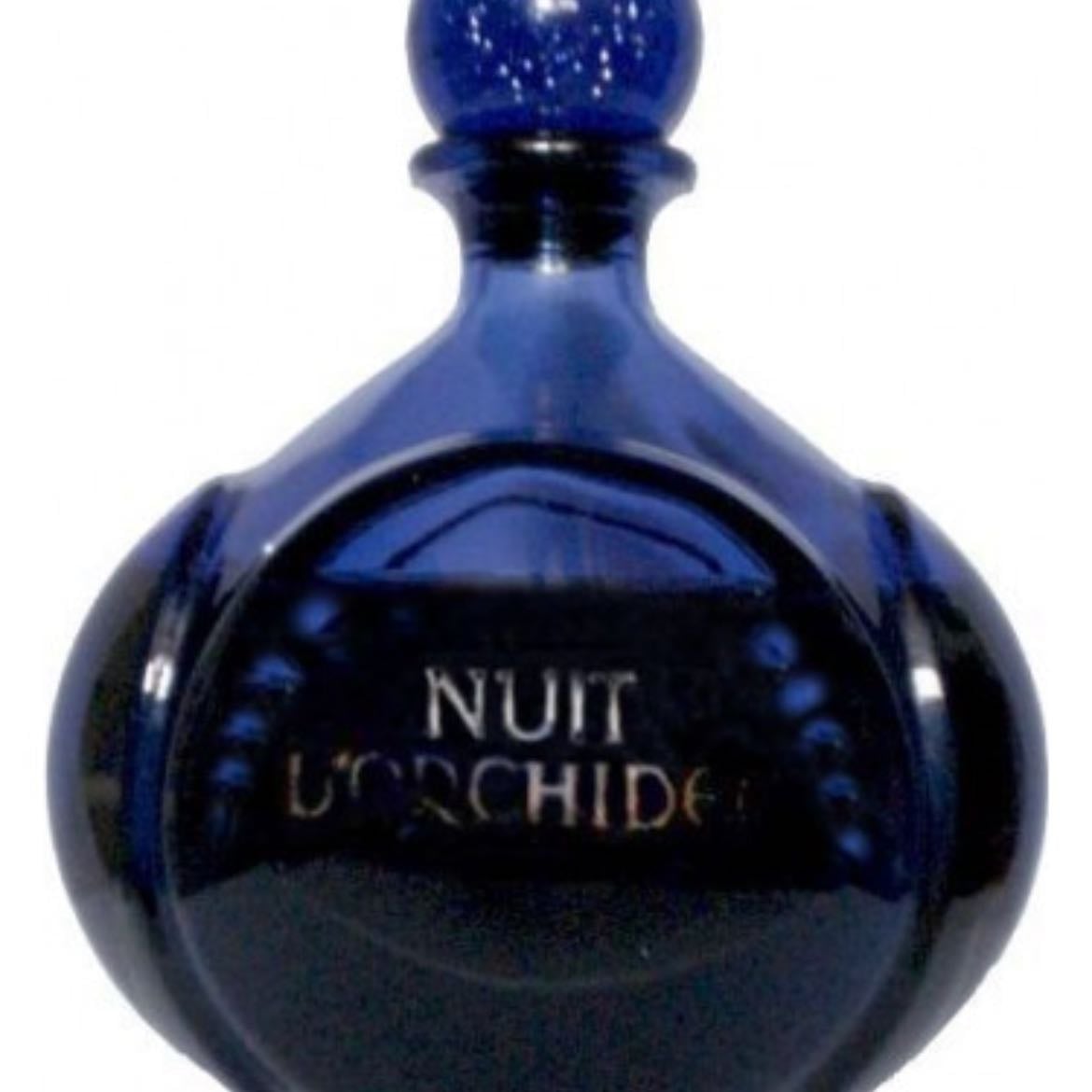 Nuit d’orchidée