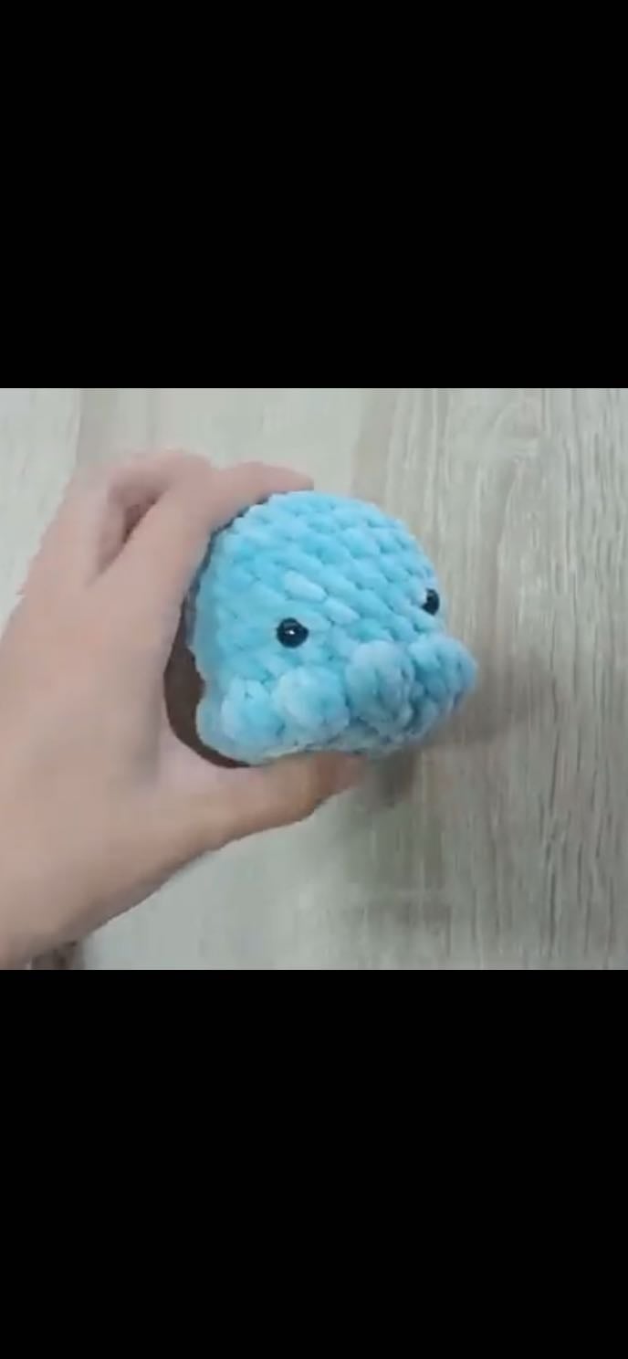 Pulpo