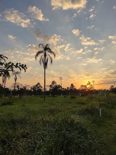Parque Madri