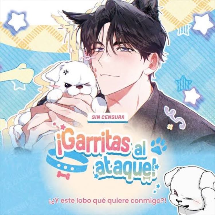 ¡Garritas al ataque!