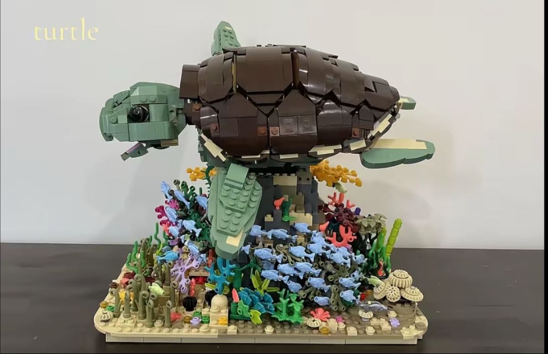 Turtle