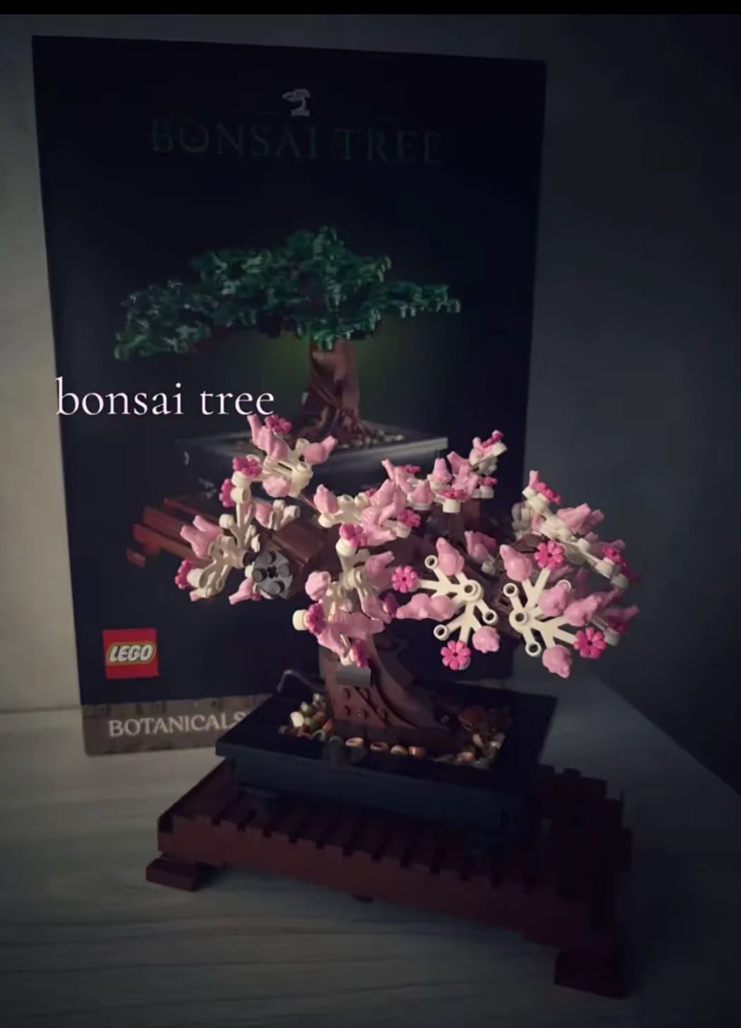 Bonsai treee