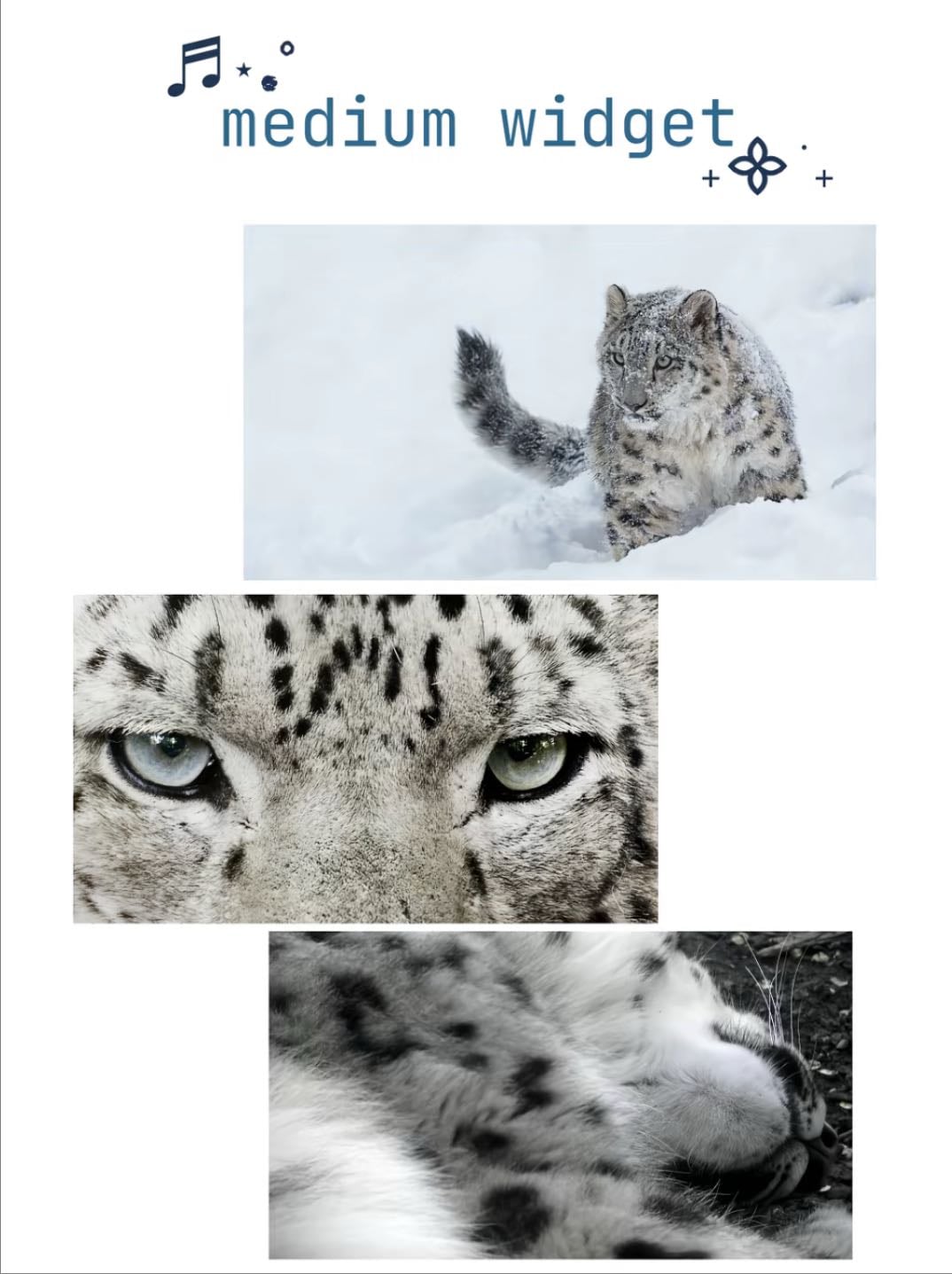 Snow leopard widgets 3