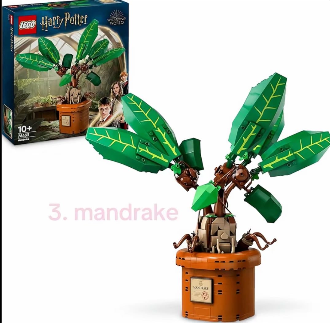 Mandrake