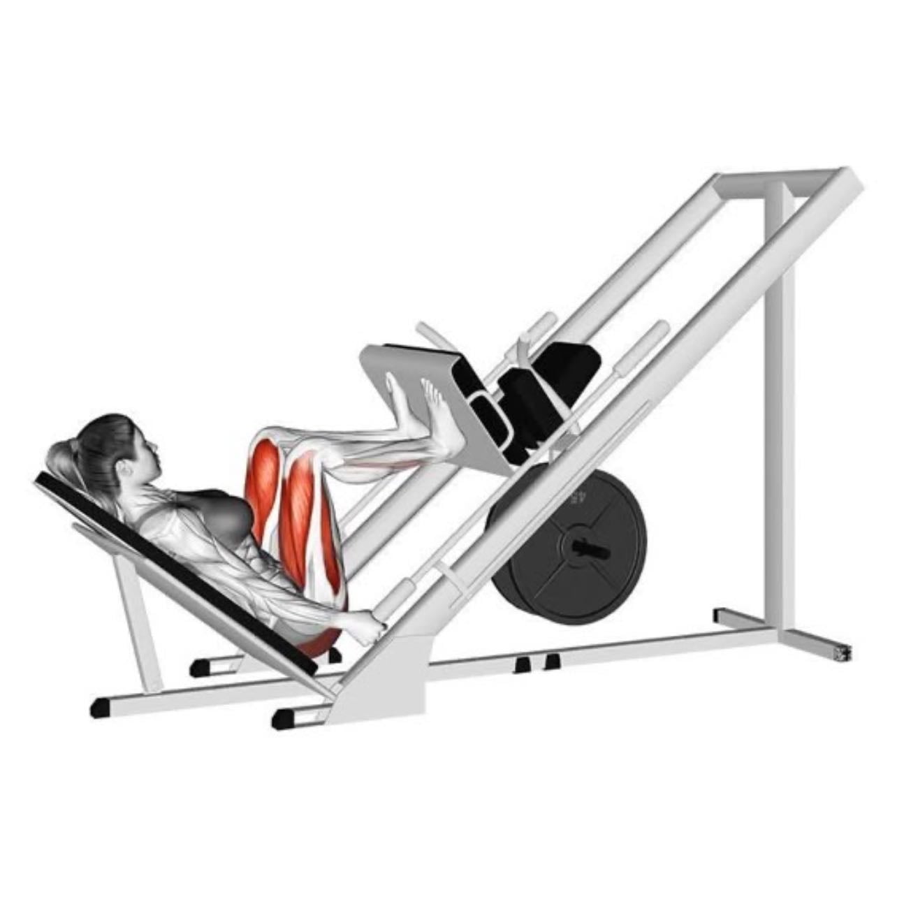 leg press e gêmeos(combinação)