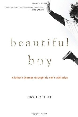 Beautiful Boy - David Sheff Β· 2008