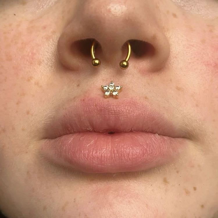 Septum - Not done yet :(