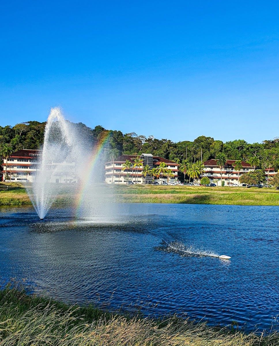 Parque Los Lagos