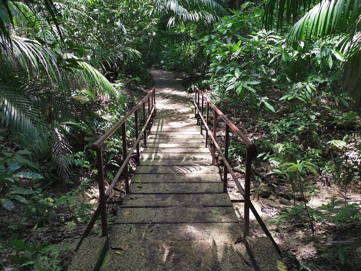 Sendero del Charco, Panama