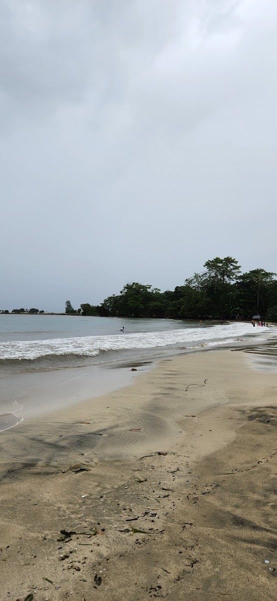 Playa La Angosta - Entre palmeras, aguas tranquilas y poco concurrida.