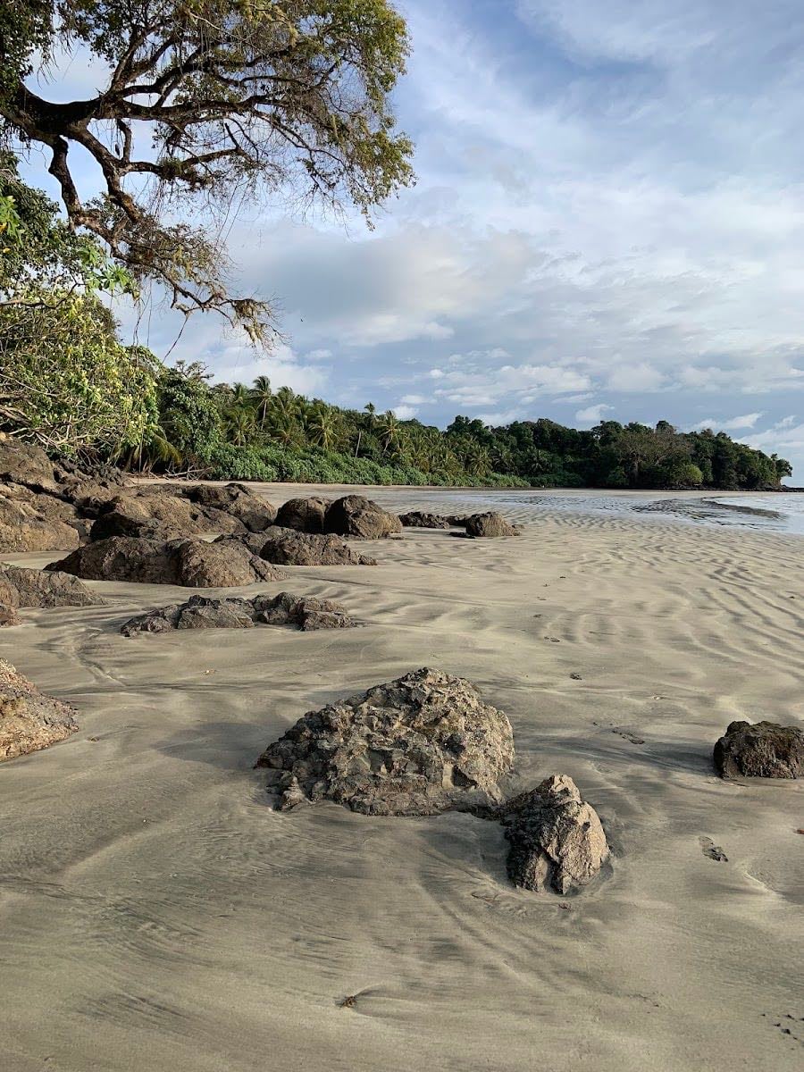 Isla Palenque - Exclusiva, con resort ecológico. Aguas tranquilas, ideal para caminatas y kayak.