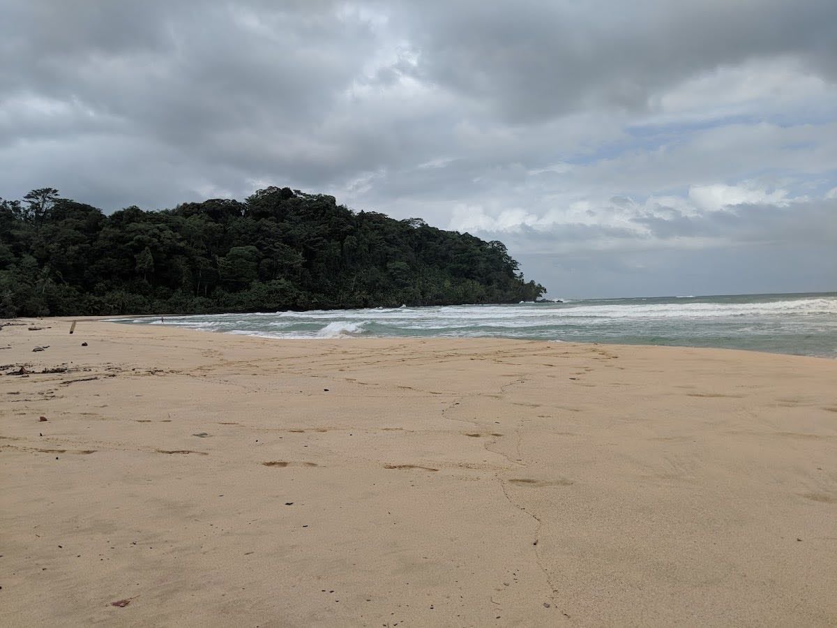 Wizards Beach - Para aventureros. Se llega caminando por un sendero desde Old Bank. Rústica y hermosa.