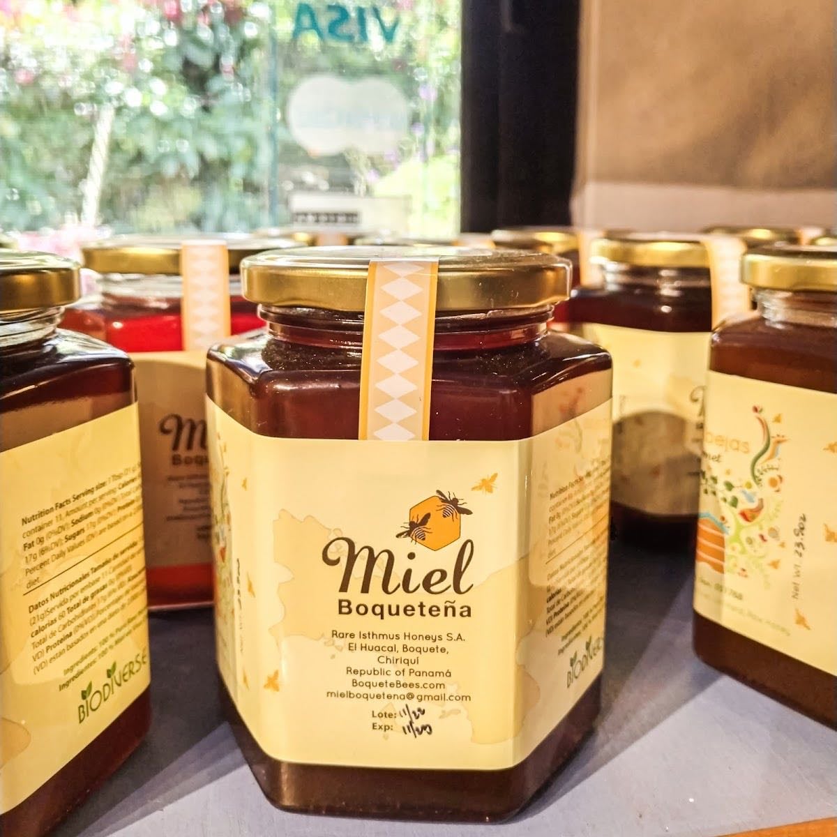 Boquete Bees and Butterflies - âł Actividades
⢠Tour de miel y abejas, recorrido por colmenas
⢠Casa de mariposas con 35 especies nativas
⢠Cata de miel y productos derivados
Horario: Lunes a domingo, 9:00 a.m. â 4:30 p.m.
Costo: Entrada $5, tour guiado desde $35 por persona