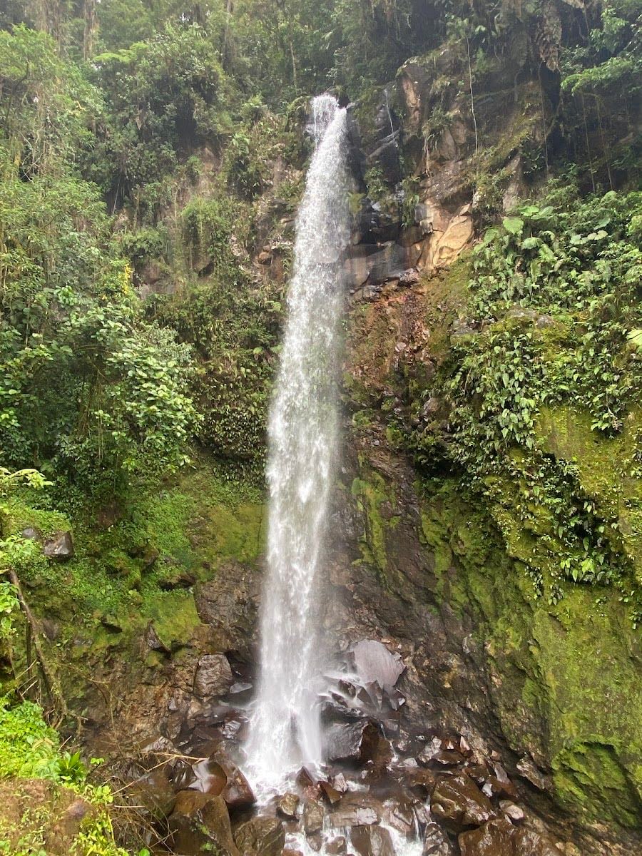 The Lost Waterfalls / Los tres cascadas - 📍 The Lost Waterfalls Trail – Bajo Mono, Boquete (Chiriquí)
• Sendero: Ruta moderada (~3.4 km) con tres cascadas, escaleras y zonas resbaladizas.
• Horario: Lunes a domingo, 8:00 a.m. – 5:00 p.m. (última entrada 3:00 p.m.).
• Costo: $10 por persona (solo efectivo).