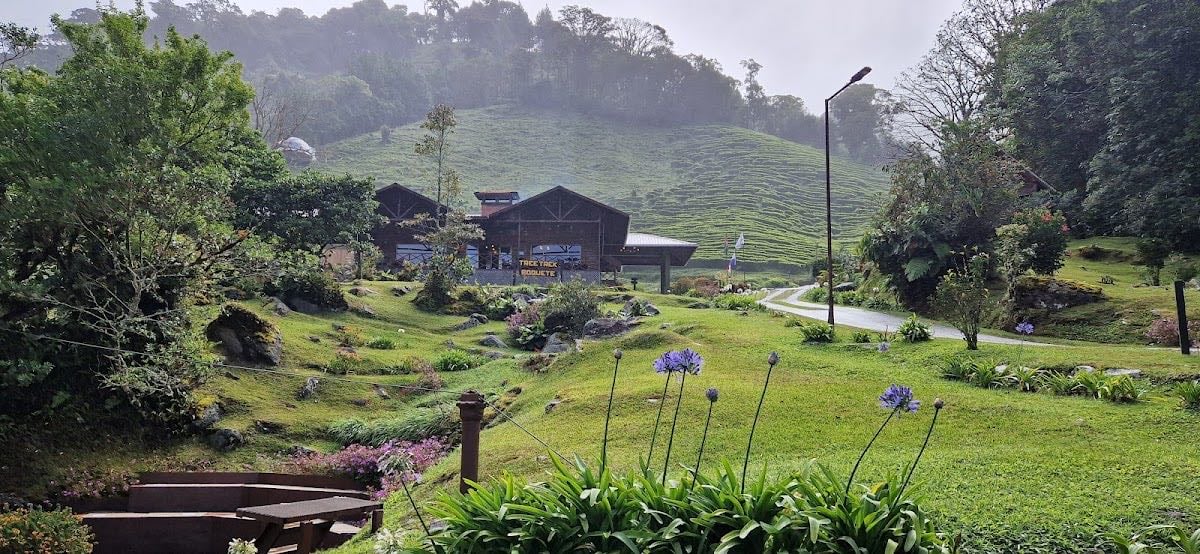 Boquete Tree Trek Mountain Resort
